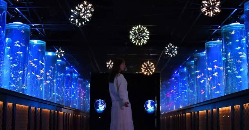 Instagram.com/artaquarium_museum_official